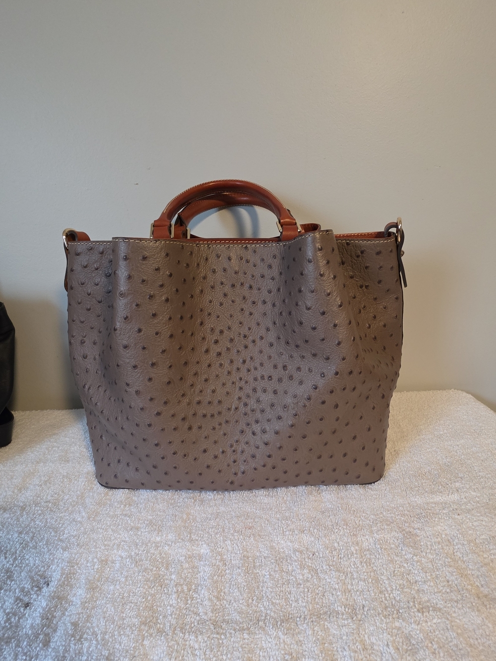 Dooney & Bourke Taupe Ostrich-Embossed Tote with Brown Trim - Picture 2 of 5
